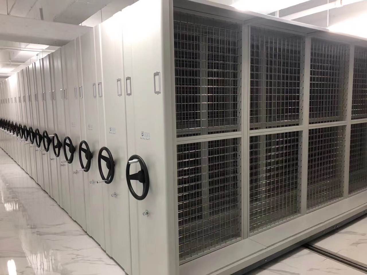 �F�Ƥ�����ܼ���