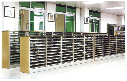 ʮ�ӈ�ƽ�ż�